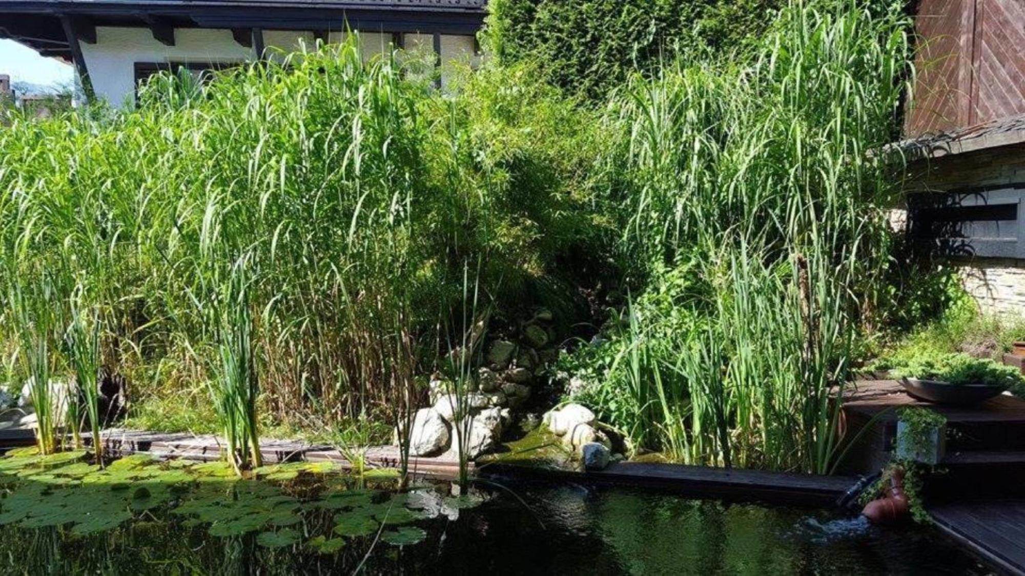 Gaestehaus Tanneck Reit im Winkl Buitenkant foto